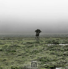 MARKUS WORMSTORM - Figure In Field [Vinyl]