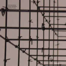MARTIN BRANDLMYAR/WERNER DAFELDECKER/CHRISTIAN FEN - Till The Old World's Blown Up And A New One Is Created [Vinyl]