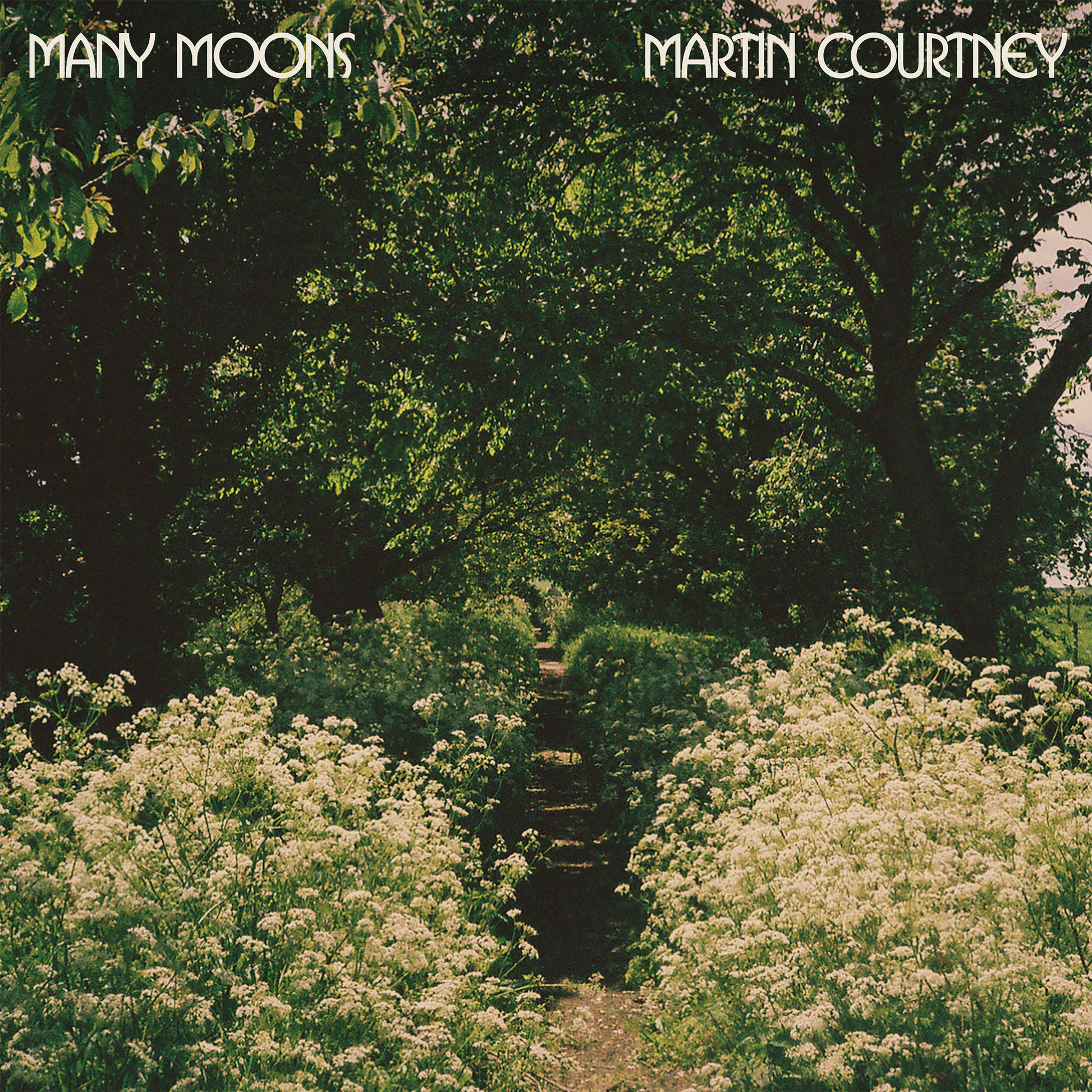 Many Moons [CD]