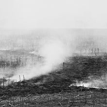 MATT ROSNER - Empty, Expanding, Collapsing [CD]