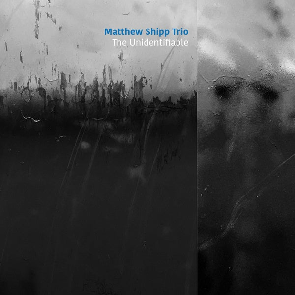 MATTHEW SHIPP TRIO - The Unidentifiable [CD]