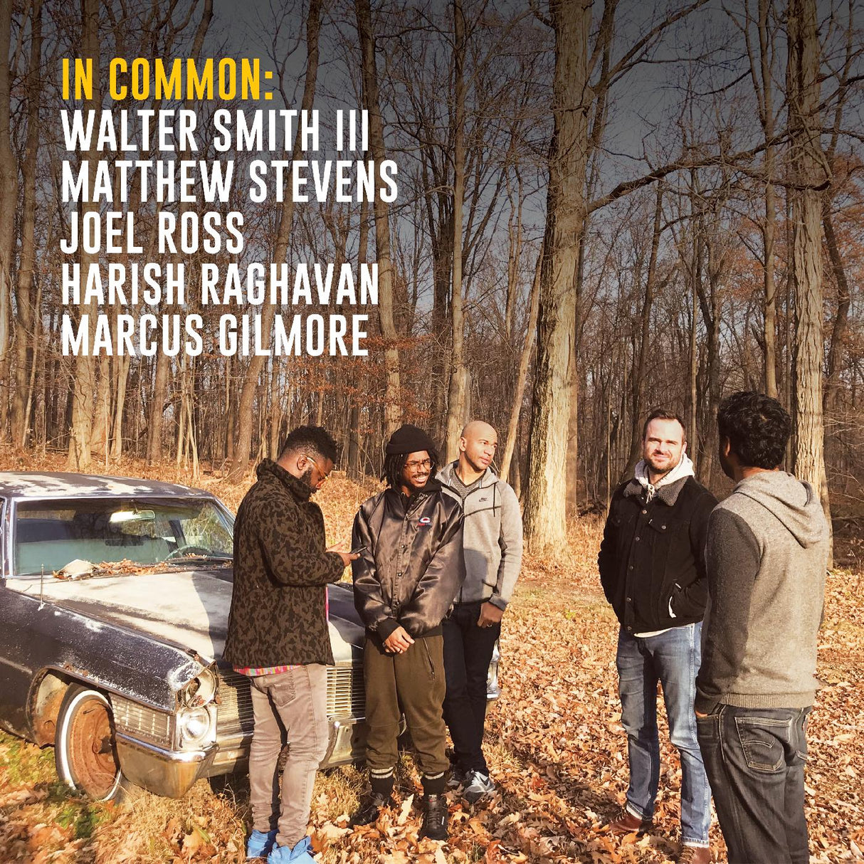 Matthew & Walter Smith III Stevens - In Common: [Vinyl]