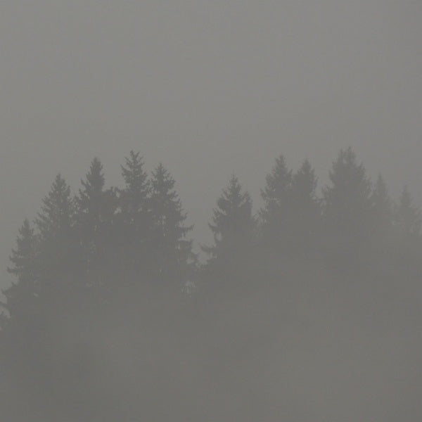 MAX LODERBAUER - Donnerwetter [Vinyl]