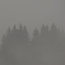 MAX LODERBAUER - Donnerwetter [Vinyl]