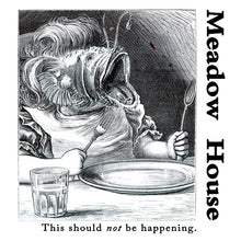 This Should Not Be Happening [Vinyl]