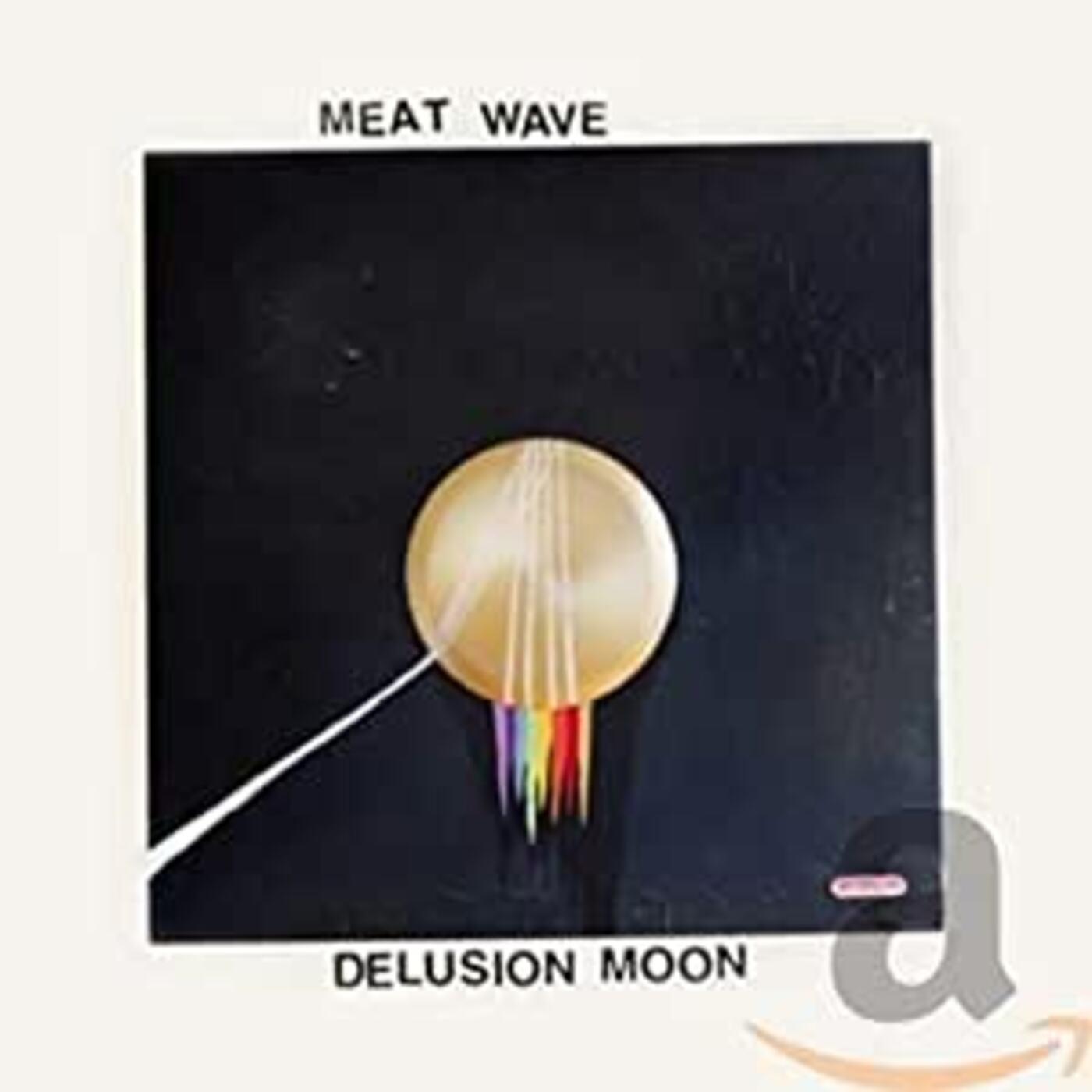 Delusion Moon [CD]