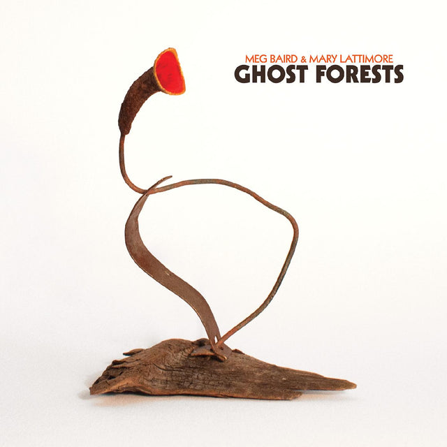 Meg And Mary Lattimore Baird - Ghost Forests (GREEN VINYL) [Vinyl]