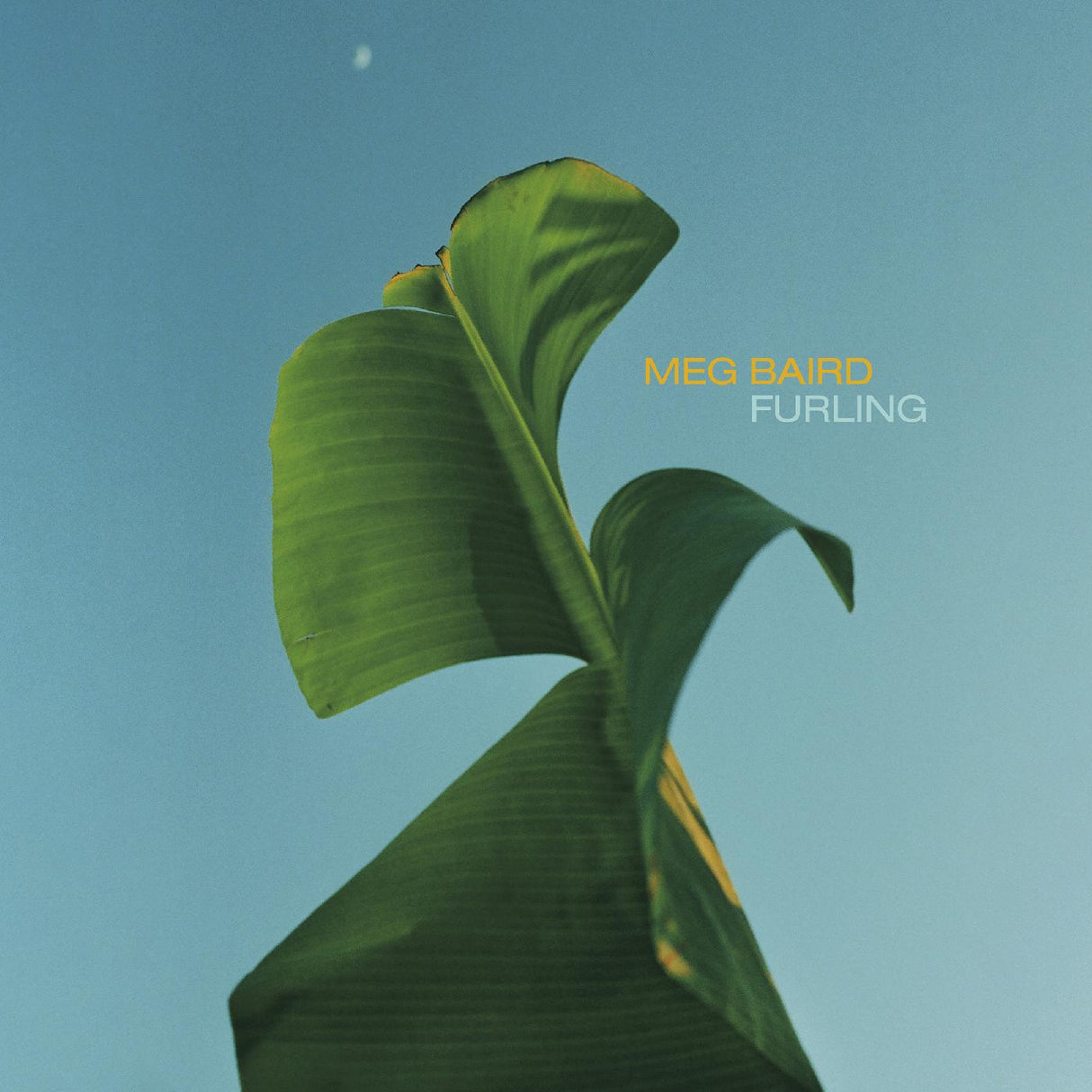 Meg Baird - Furling [Vinyl]