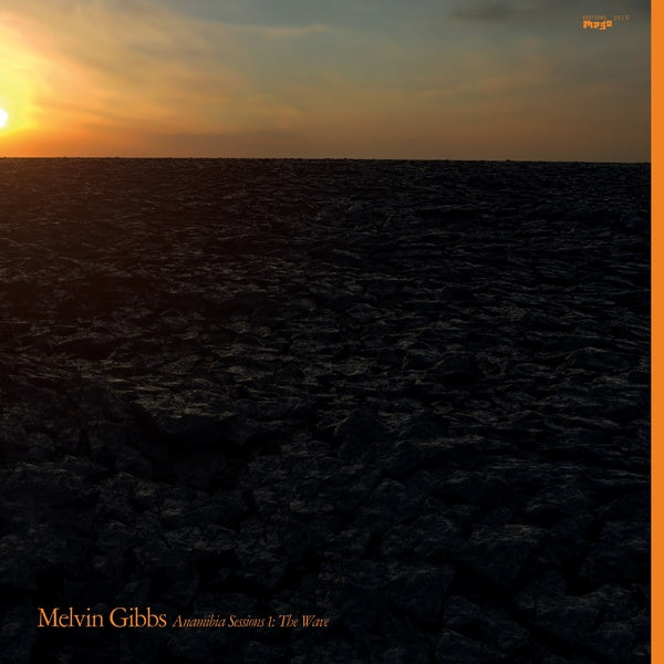 MELVIN GIBBS - Anamibia Sessions 1: The Wave [Vinyl]