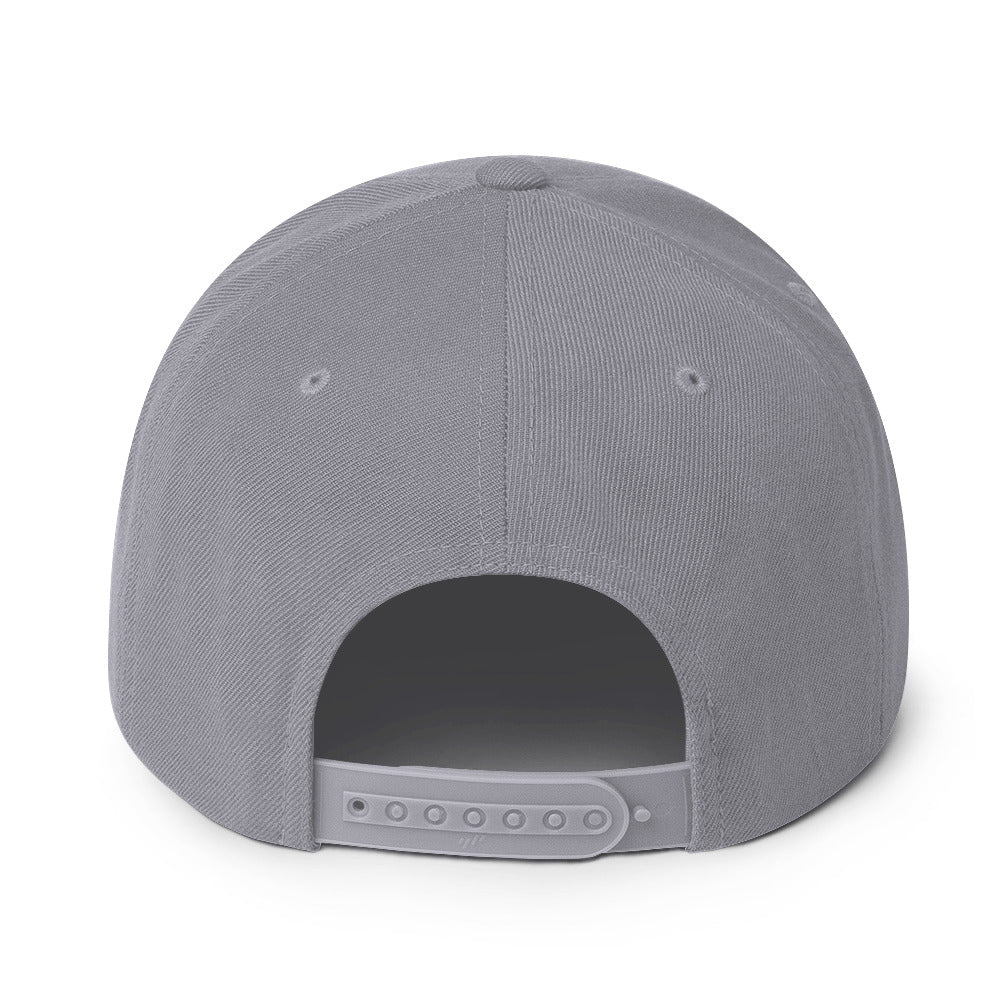 MERCHMOMENT HIM Classic Logo Grey Embroidered Snap Back Hat [Apparel]
