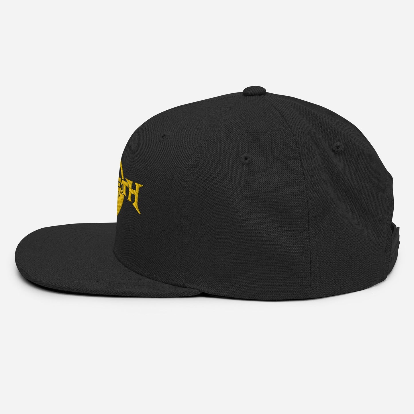 MERCHMOMENT Megadeth Black Nuclear Snapback Hat [Apparel]
