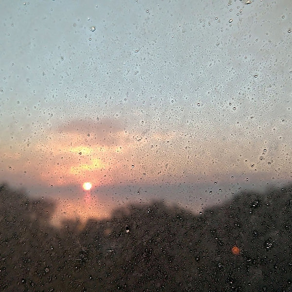 Pushed Streets [Vinyl]