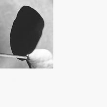 MICHALIS MOSCHOUTIS - Classical Mechanics [CD]