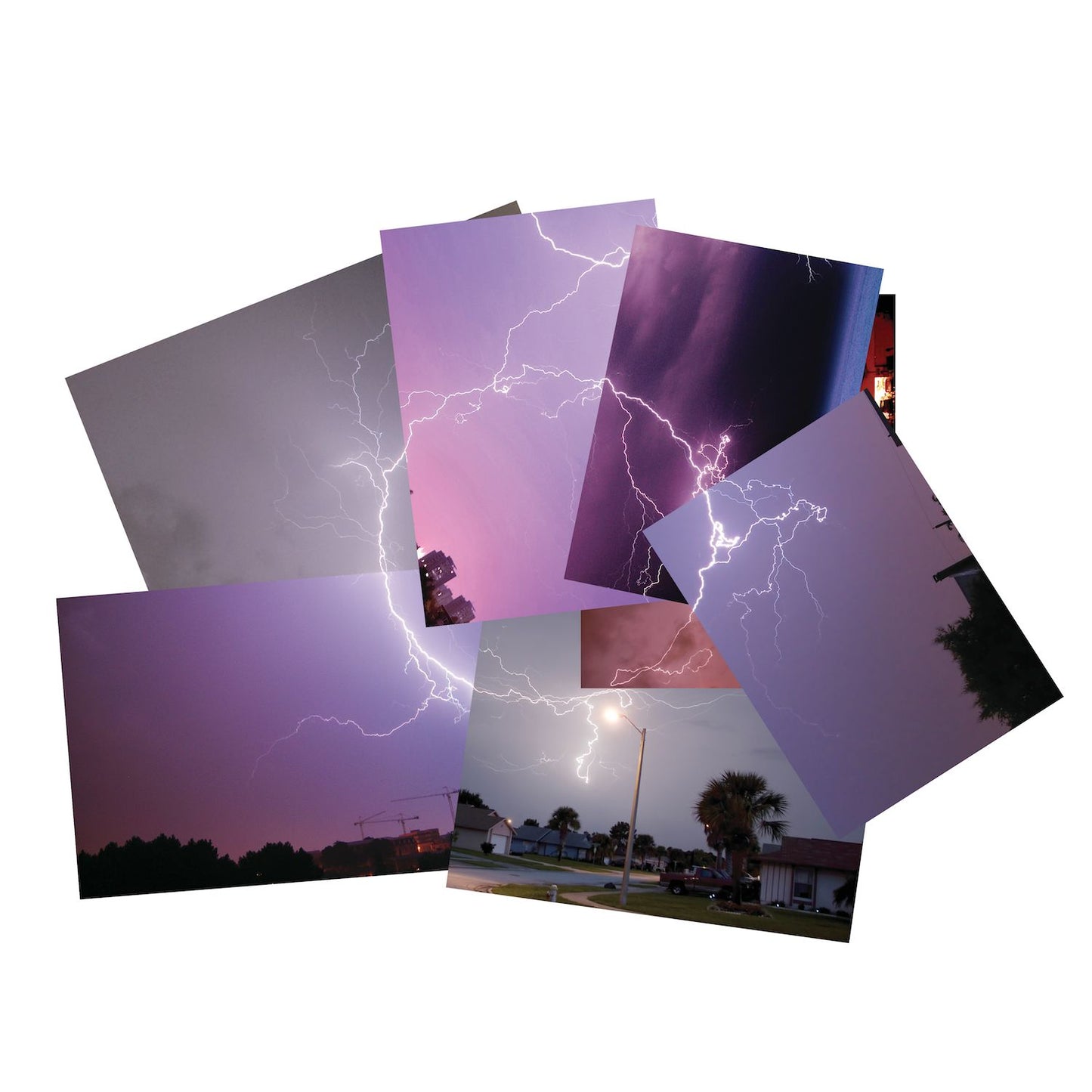 ARMZ [Vinyl] - Paladin Vinyl