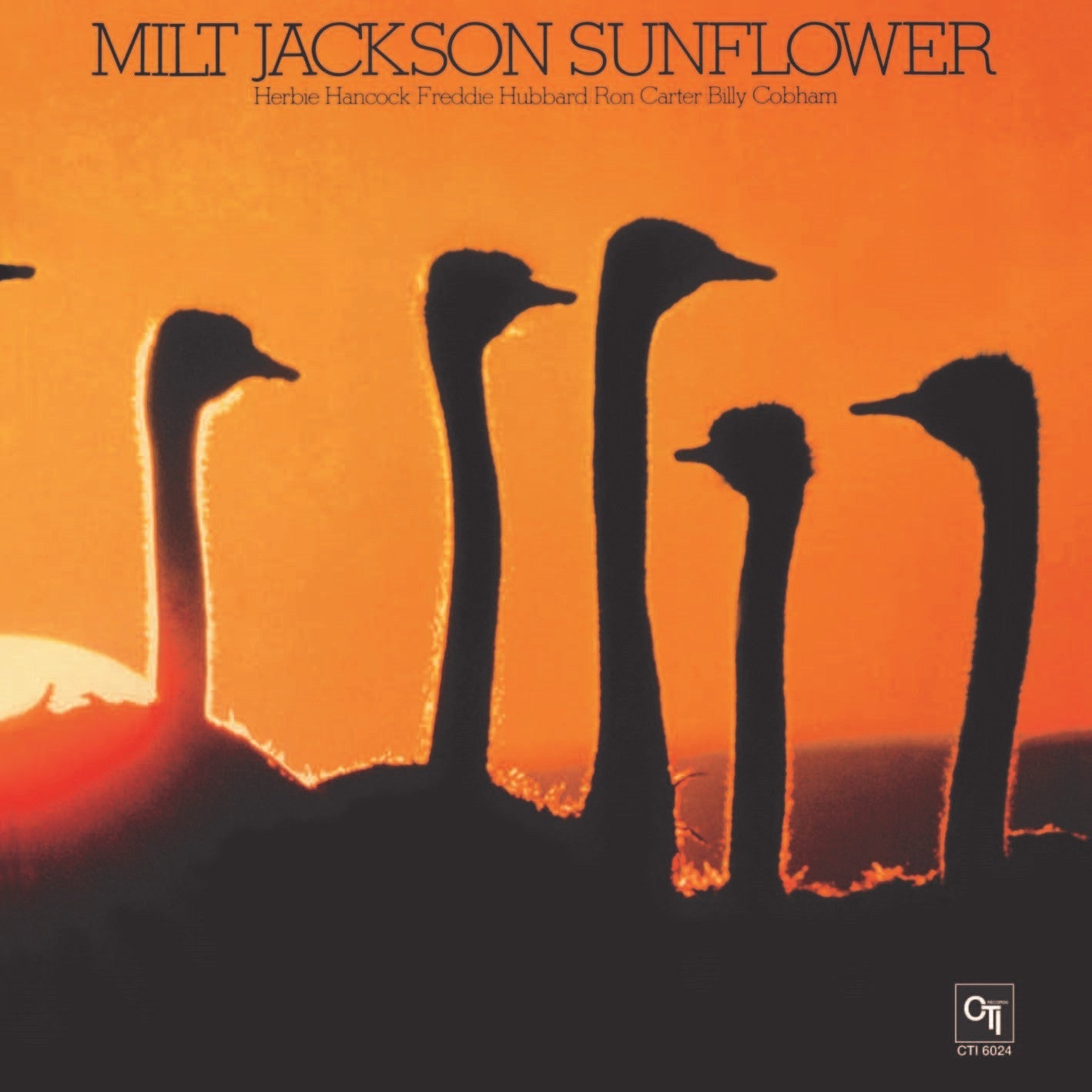 Sunflower [Vinyl]