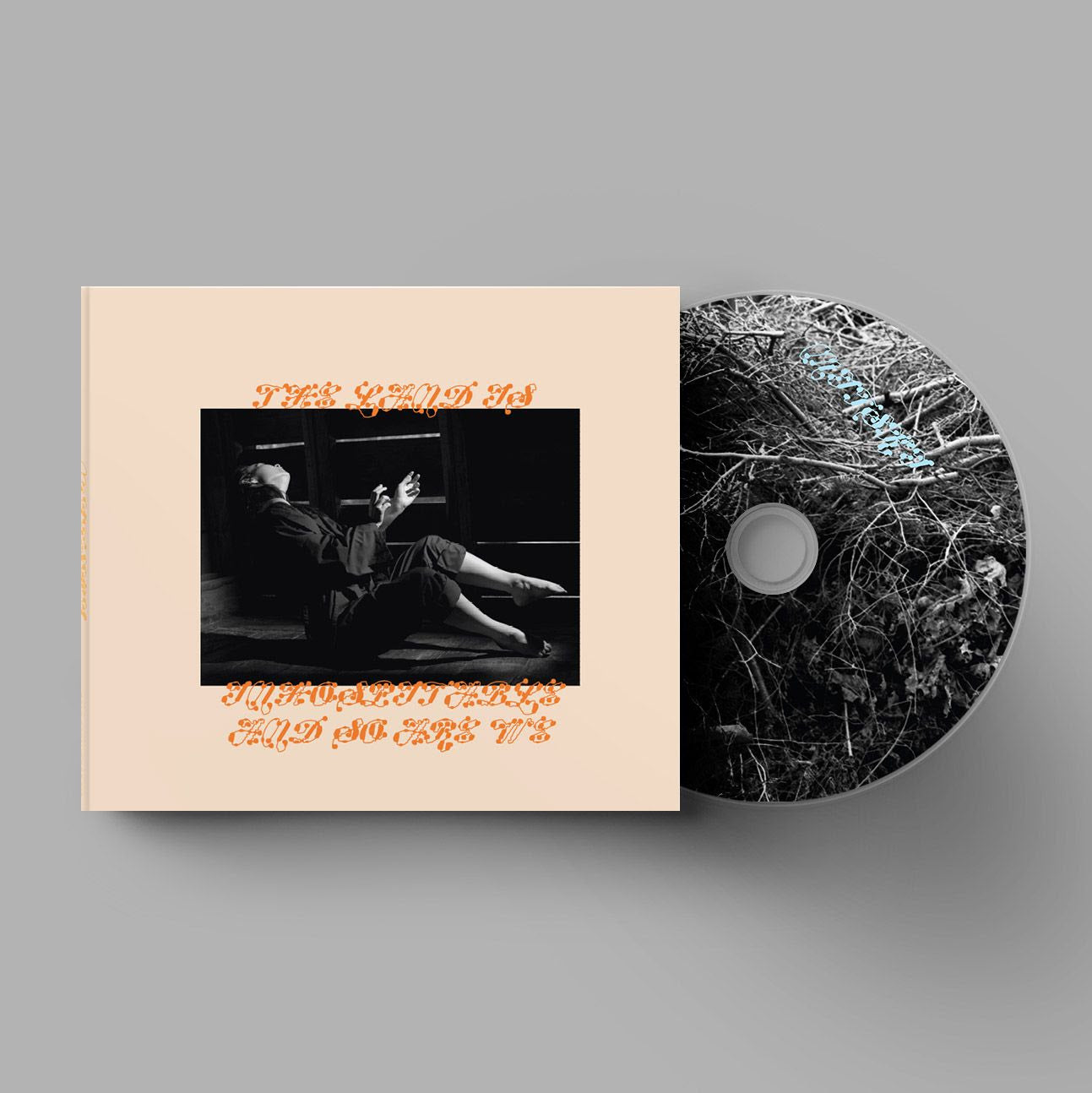 The Land Is Inhospitable and So Are We [CD]