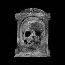 Trees/50 Trees [Vinyl]