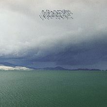 Modest Mouse - La fruta que se comió a sí misma [Vinilo]