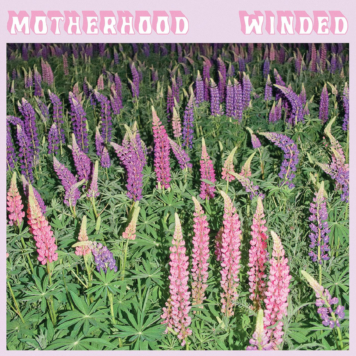 Motherhood - Winded (PINK VINYL) [Vinyl]