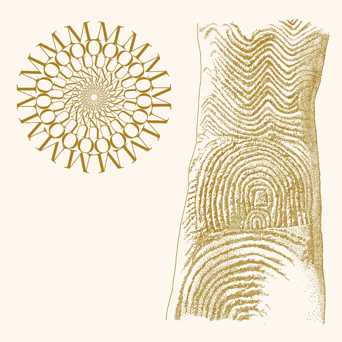 Flowers Rot, Bring Me Stones (BROWN & CLEAR SPECKLE VINYL) [Vinyl] - Paladin Vinyl
