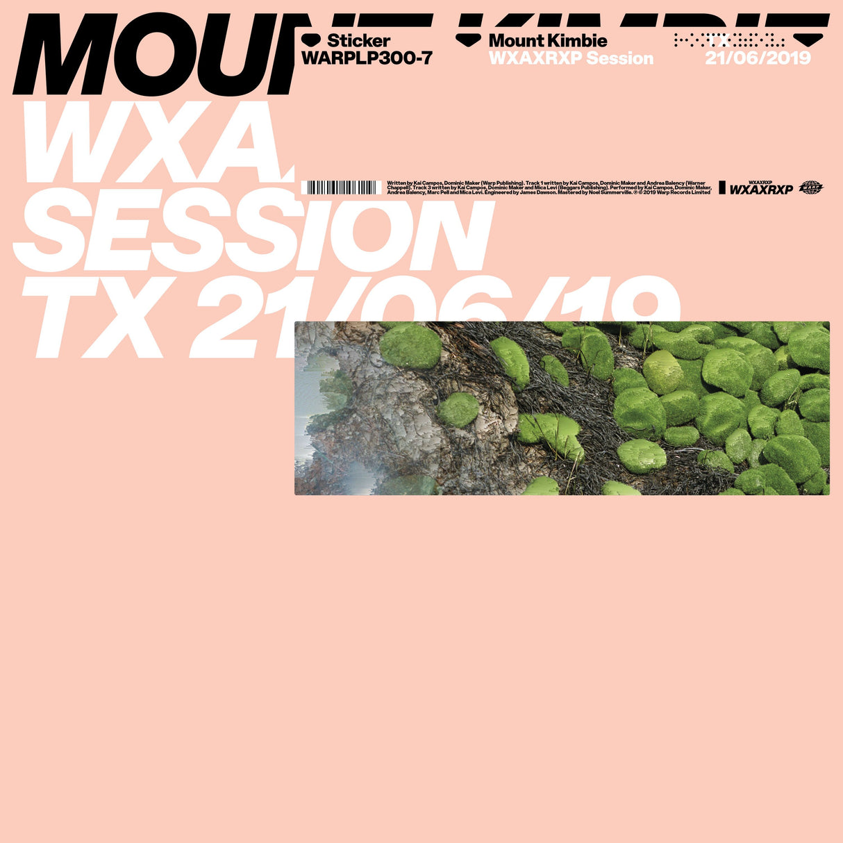 Sesión de Mount Kimbie - WXAXRXP [Vinilo]