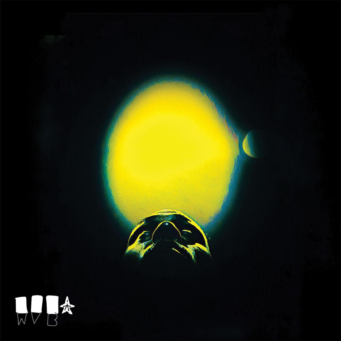 The Cycle (NEON YELLOW VINYL) [Vinyl] - Paladin Vinyl