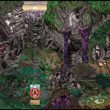 Stonewasher (Indie Exclusive Silver Cassette) [Cassette]