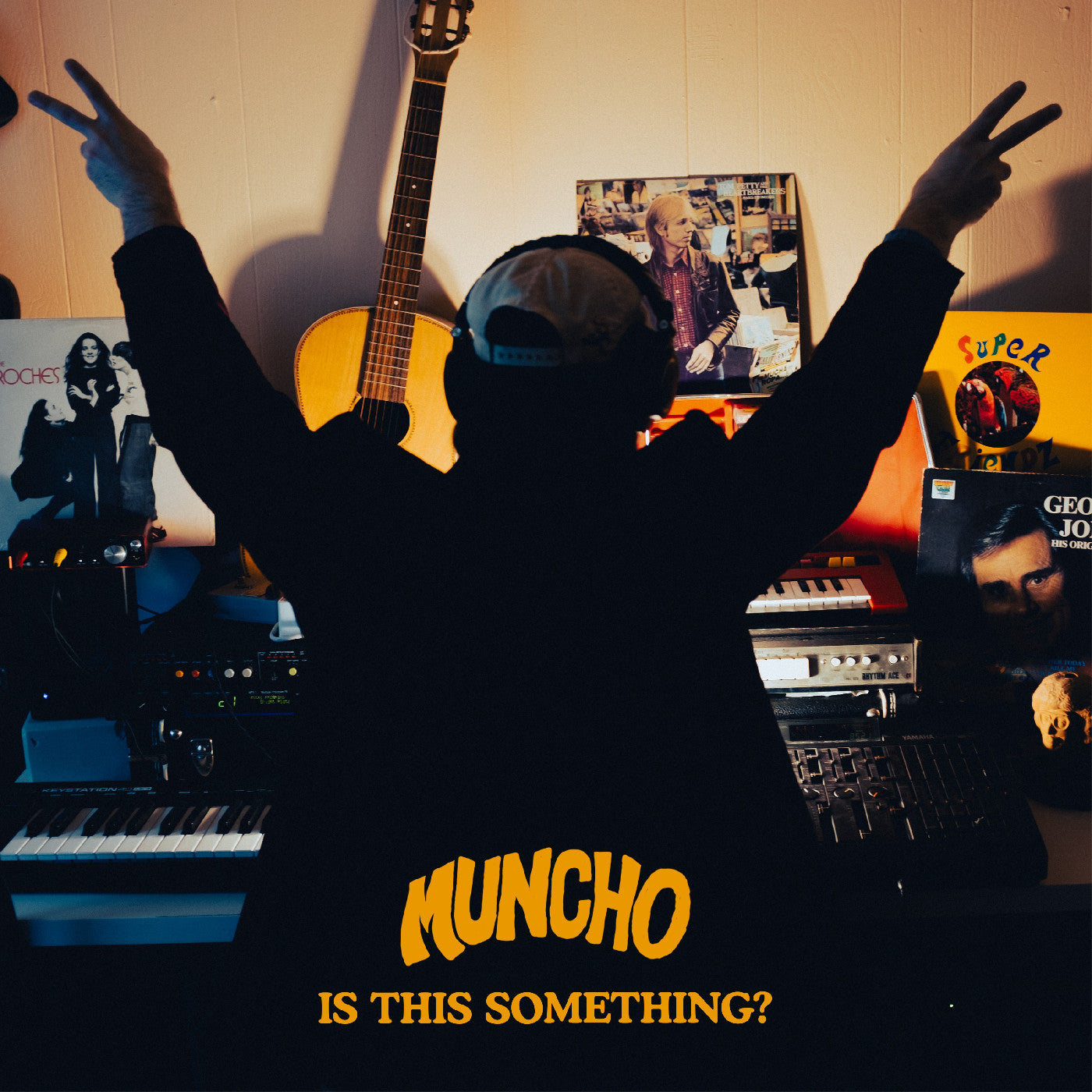 Is This Something? [Vinyl]