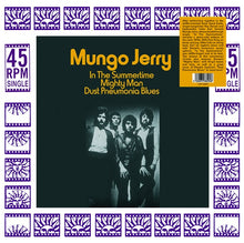 MUNGO JERRY - In The Summertime [Vinyl]