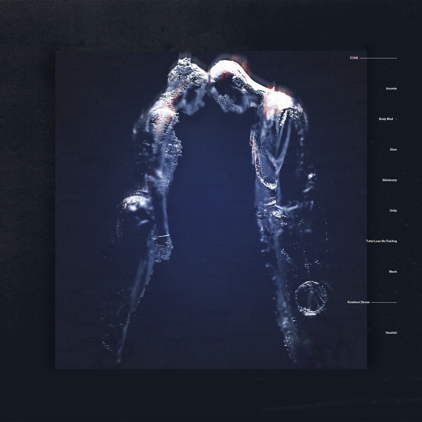 Zone [Vinyl] - Paladin Vinyl