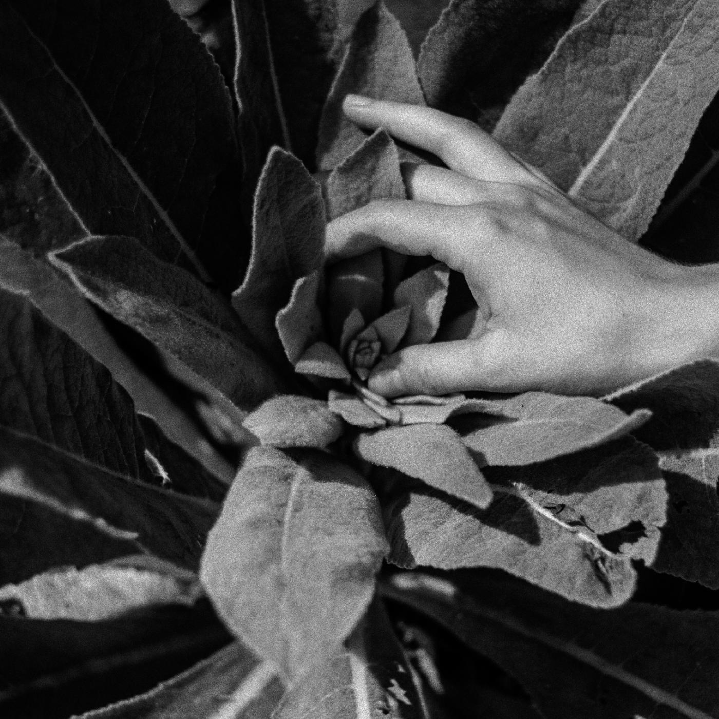 Heide (Indie Exclusive Silver Vinyl) [Vinyl]