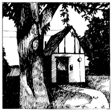 Cottage Songs [Vinyl]