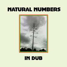 Natural Numbers in Dub [Vinyl]