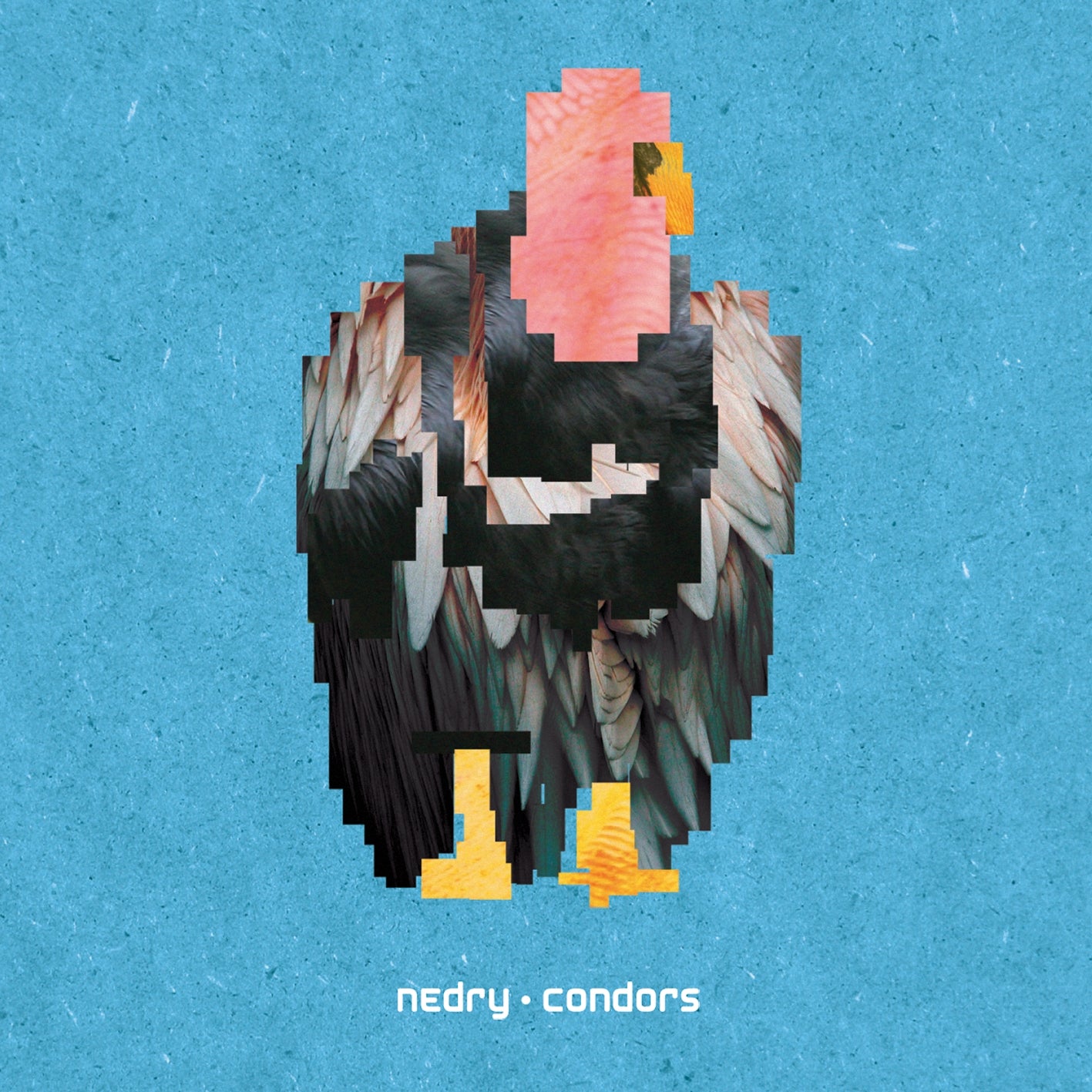 Condors [CD]