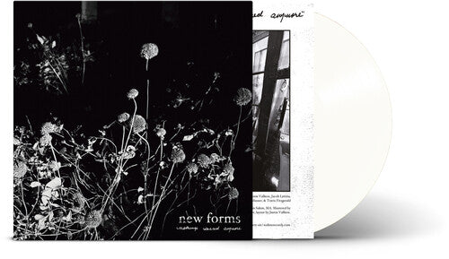 New Forms - Nothing'S Sacred Anymore [Clear Vinyl] [Vinyl]