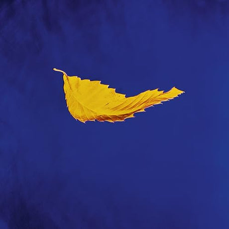 New Order True Faith (2023 Remaster) Vinyl - Paladin Vinyl