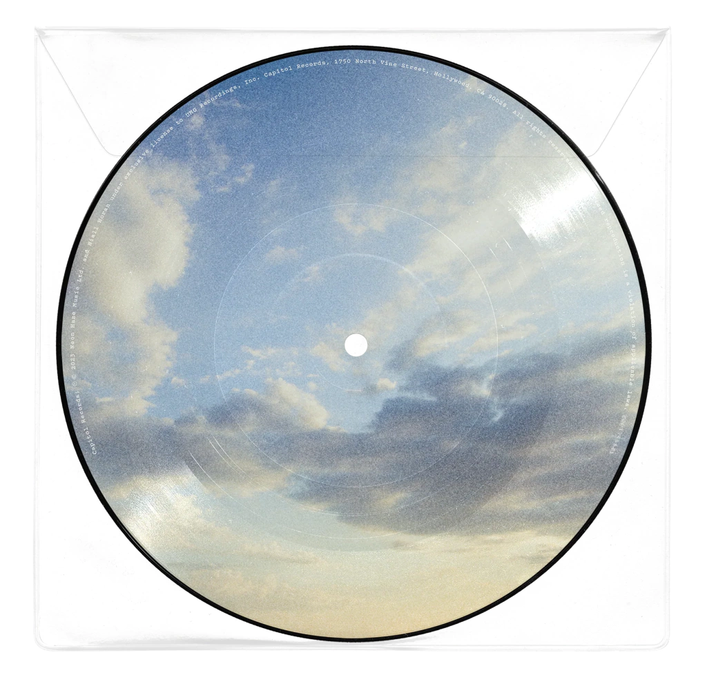Niall Horan - Meltdown (Picture Disc Vinyl) [Import] (7" Single) [Vinyl] - Paladin Vinyl
