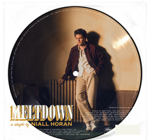 Niall Horan - Meltdown (Picture Disc Vinyl) [Import] (7" Single) [Vinyl]