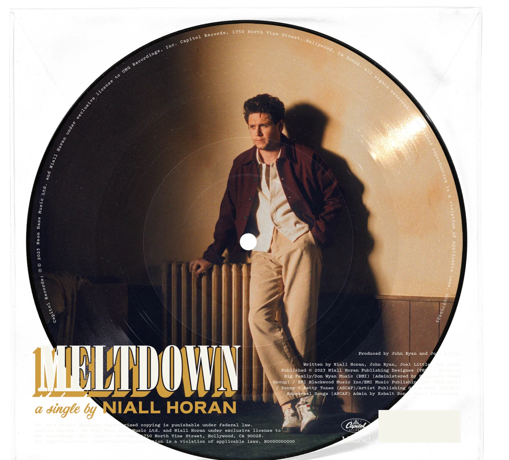 Niall Horan - Meltdown (Picture Disc Vinyl) [Import] (7" Single) [Vinyl] - Paladin Vinyl