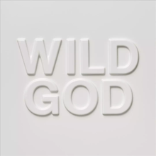 Wild God (Indie Exclusive, Clear Vinyl, Pink) [Vinyl]