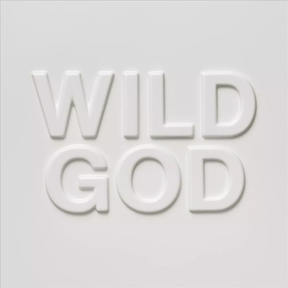 Wild God (Indie Exclusive, Clear Vinyl, Pink) [Vinyl]