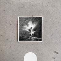Empty [CD]
