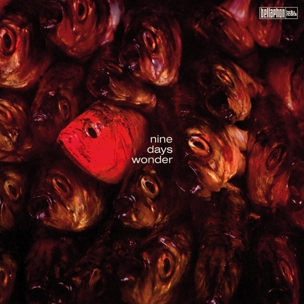 Nine Days Wonder [Vinyl]