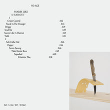 No Age - Snares Like a Haircut - Paladin Vinyl