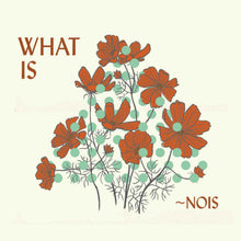 ~Nois - What Is ~Nois? [CD]