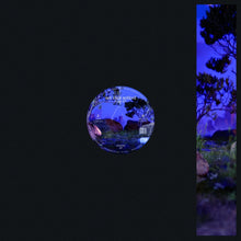Feel [Vinyl]