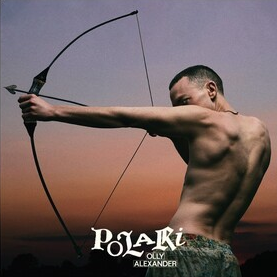 Polari (Indie Exclusive, Transparent Purple Colored Vinyl, Limited Edition, Poster) [Vinyl]