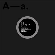 Our Souls Are In The Hands Of The Translator - Our Souls Are In The Hands Of The Translator [Vinyl]