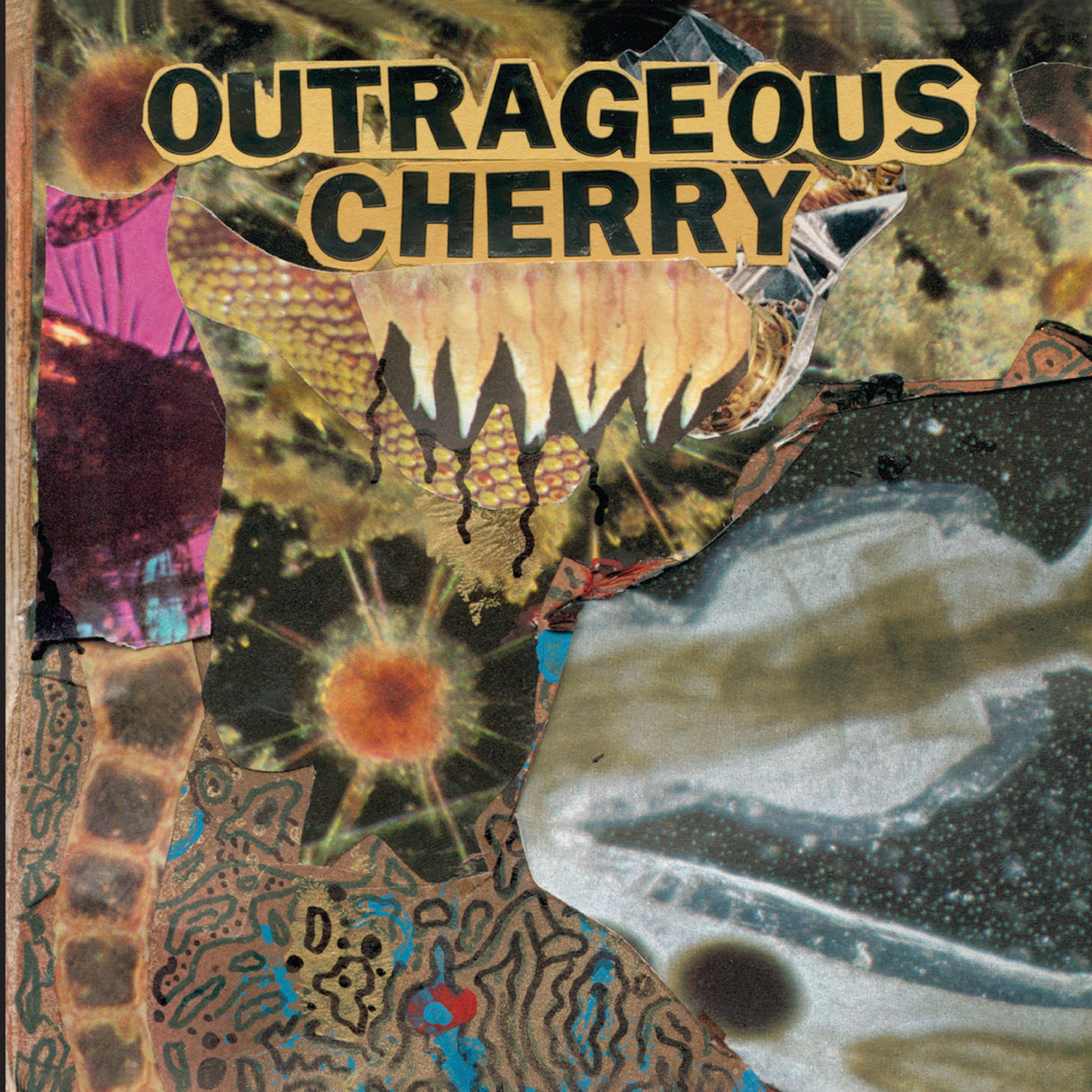 Outrageous Cherry - Universal Malcontents [CD]