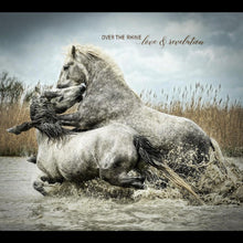 Love & Revelation [CD]